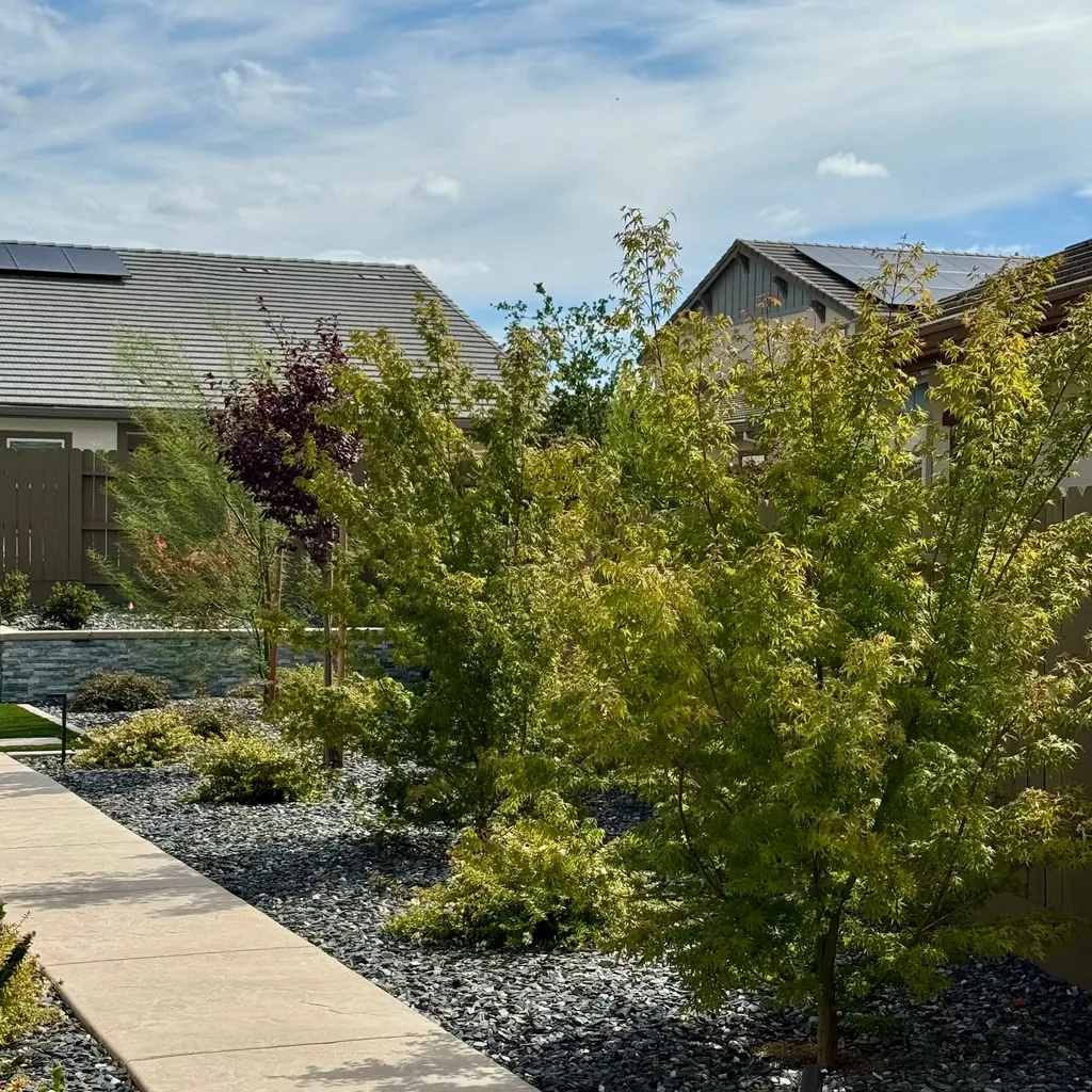 Planting beds of grasses and shrubs along a lawn