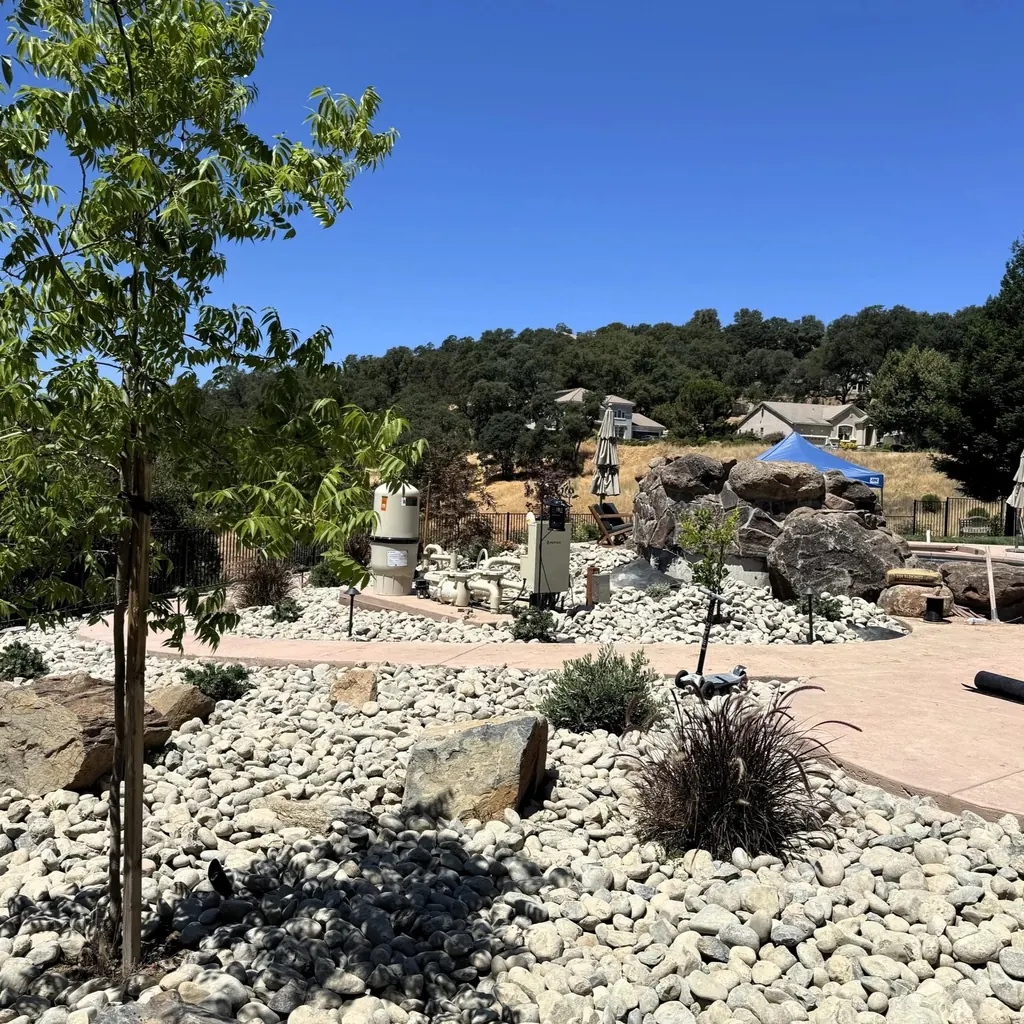 Boulders and river rock with drought-tolerant planting and young trees on an open lot