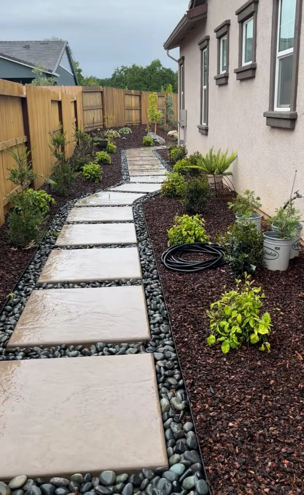 Concrete steps through river rock and planting