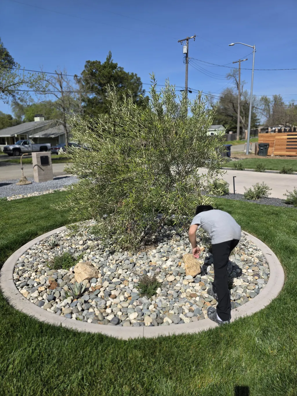 Primavera crew member tending a planting bed ringed by a concrete mow strip