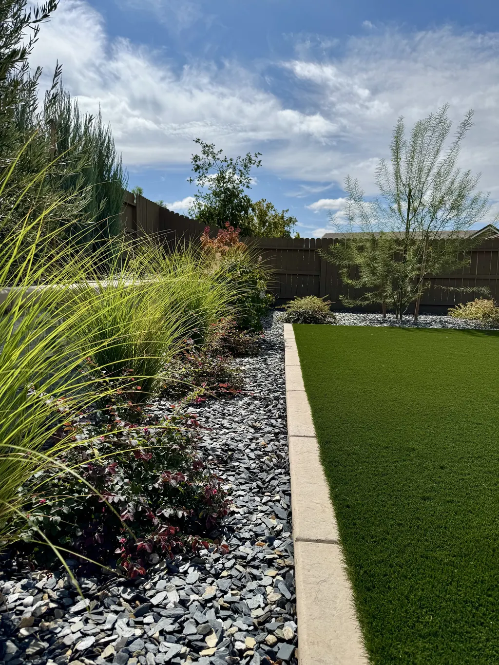 Ornamental grasses along a concrete lawn edge