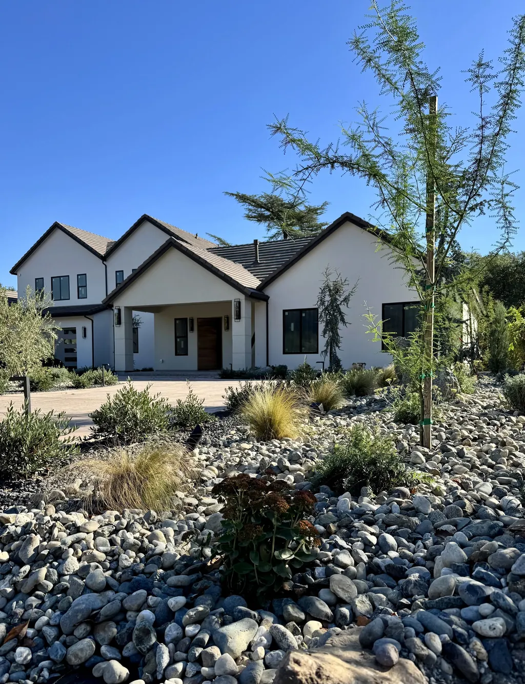 Front yard dry garden with river rock, grasses, and a young tree